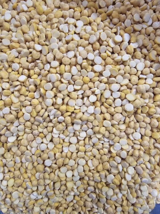 indian chickpeas