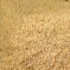 Golden Sella Basmati Rice - 1 KG - رز هندي ذهبي