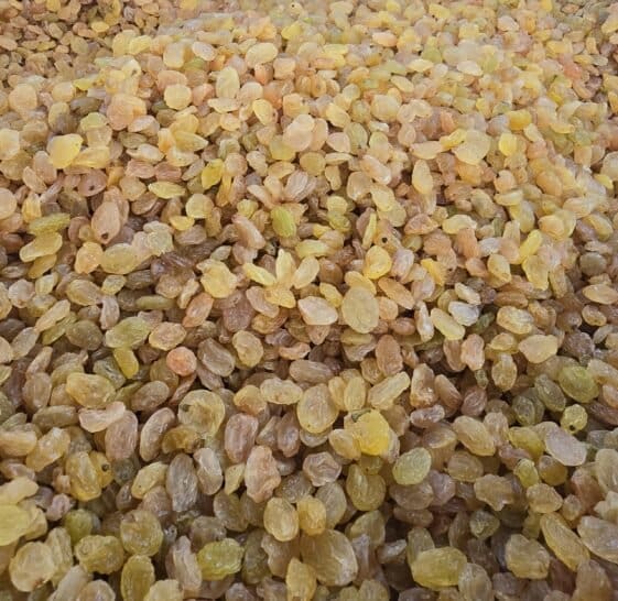 Golden_Raisins