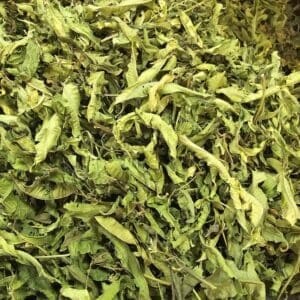 Lemon_Balm