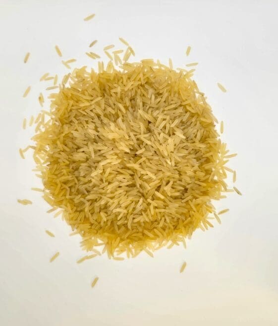 Golden Sella Rice najjar