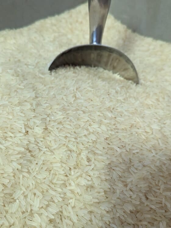 thai rice