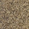 Whole Sesame Seeds - 1 KG - سمسم بلدي بقشره