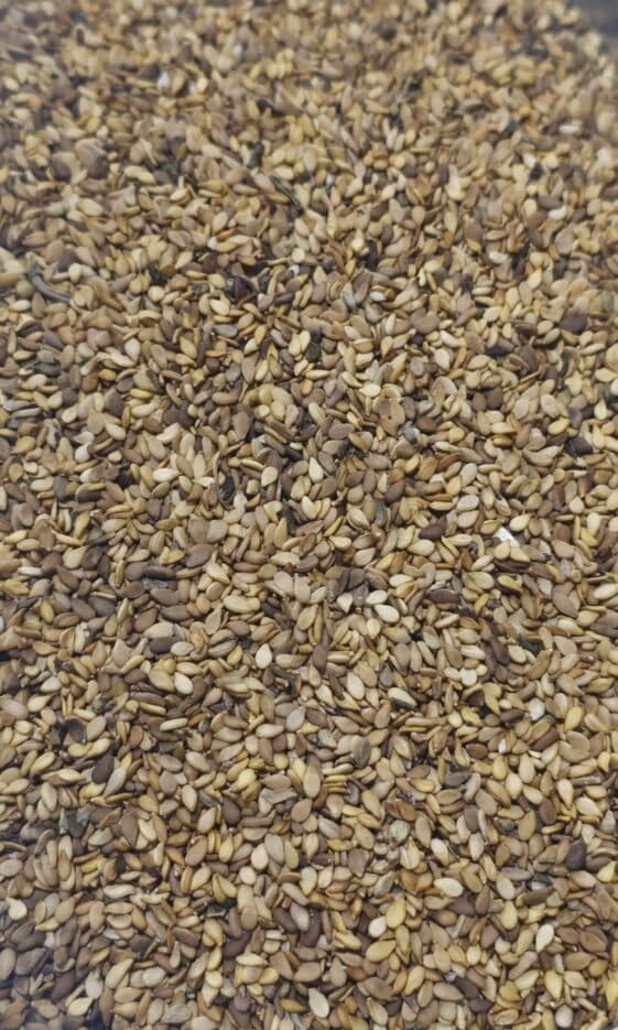 Whole Sesame Seeds - 1 KG - سمسم بلدي بقشره