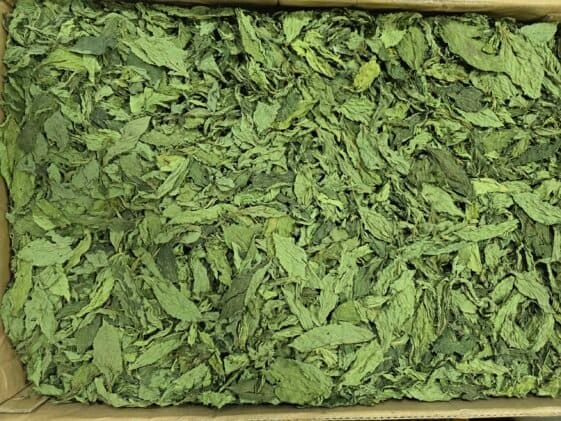 Dried Mloukhiye - 1 KG - ملوخيّة يابسة