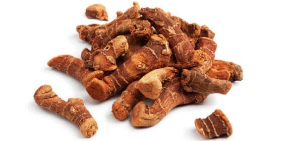 galangal whole