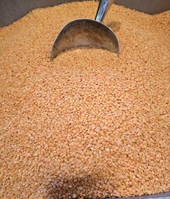 Orange Split Lentils - 1 KG - عدس مجروش