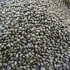 Black Feijoa Beans - 1 KG - فاجوم أسود