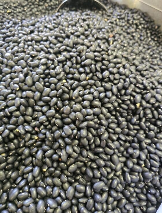 Black Feijoa Beans - 1 KG - فاجوم أسود