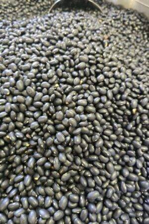 Black Feijoa Beans - 1 KG - فاجوم أسود