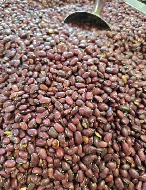 Red Feijoa Beans - 1 KG - فاجوم موڤ