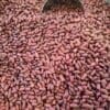 Red Kidney Beans (Mexican) - 1 KG - صنوبريّة مكسيكيّة