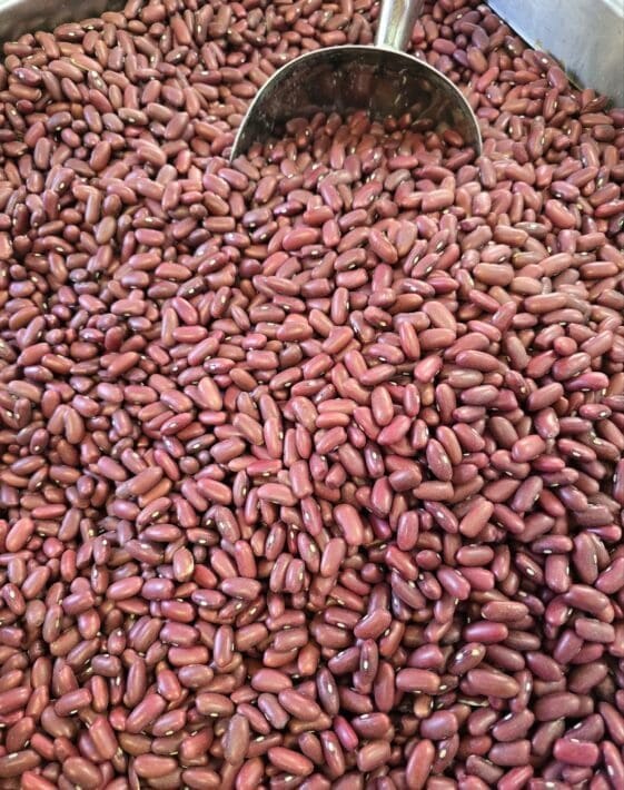 Red Kidney Beans (Mexican) - 1 KG - صنوبريّة مكسيكيّة