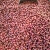 Red Kidney Beans (Mexican) - 1 KG - صنوبريّة مكسيكيّة
