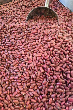 Red Kidney Beans (Mexican) - 1 KG - صنوبريّة مكسيكيّة