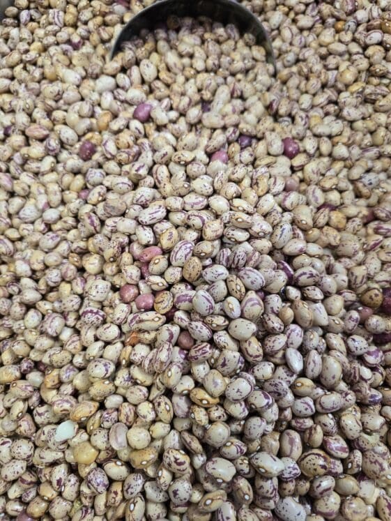 Round Kidney Beans - 1 KG - فاصوليا عائشة خانم