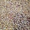 Round Kidney Beans - 1 KG - فاصوليا عائشة خانم