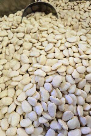 Lima Beans (Large) - 1 KG - فاصوليا عريضة بيضاء