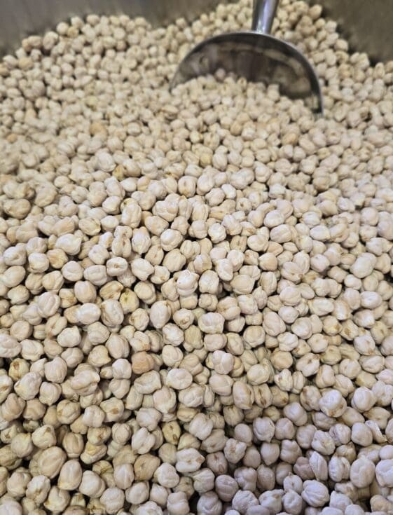 Mexican Chickpeas (Large) - 1 KG - حمّص مكسيكي