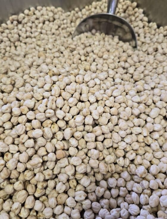 Mexican Chickpeas (Large) - 1 KG - حمّص مكسيكي