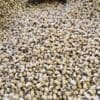 Black Eyed Beans - 1 KG - لوبيا مسلّات