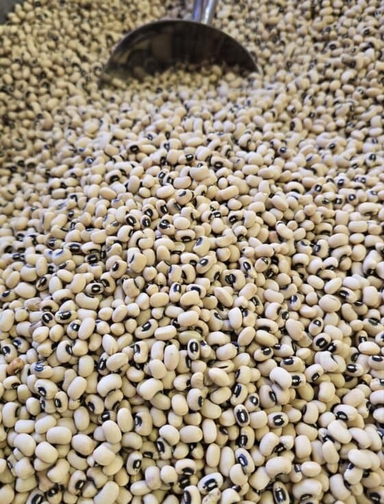 Black Eyed Beans - 1 KG - لوبيا مسلّات