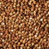 Buckwheat - 500 grams - الحنطة السوداء