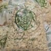 Roasted Cantaloupe Seeds (Salted) - 500 grams - بذر شمّام محمّص مالح