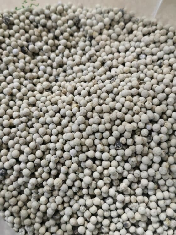 black pepper