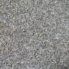 Whole Caraway - 200 grams - كراوية حبّ