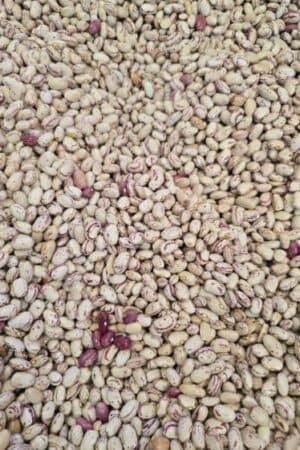 Round Red Beans - 1 KG - فاصوليا حمراء بلديّة