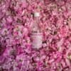 Distilled Rose Water - ماء الورد البلدي - Image 2
