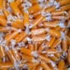 Qamar Al-Din - 500 grams- قمر الدين قطع