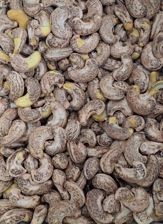 Unpeeled Roasted Cashews - 250 grams - كاجو محمصة بقشره
