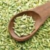 Fennel Seeds - 200 grams - بذور الشمرا